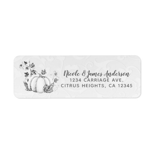 Verhaalboek Zilver Witte Pompoen Sprookje Feestje Etiket (Voorkant)