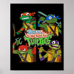 Verhalen Van De nage Mutant Ninja Turtles Doos Omh Poster