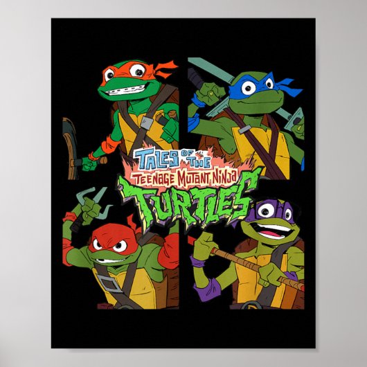 Verhalen Van De nage Mutant Ninja Turtles Doos Omh Poster (Voorkant)
