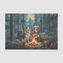 Verhalenboek Kampvuren Honden, Buitenmuziek