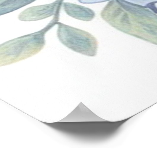 Verhalenboek Woodland Babies Giraffe en Blue Bird Poster (Hoek)