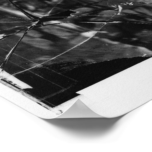 Verhangen van de vier Lincoln-samenzweerders Poster (Hoek)