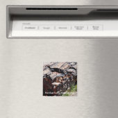 Verhard hout magneet (Insitu (Vaatwasser))