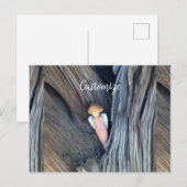 Verharde engel in de Thunder Cove Briefkaart (Voorkant / Achterkant)