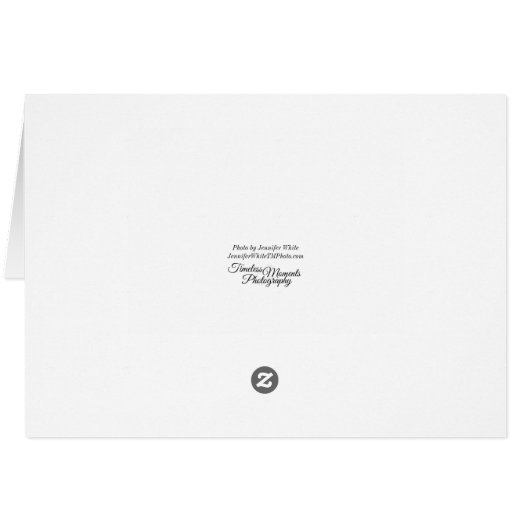 Verharde loopbrug naar het strand van Pensacola, b (Achterkant Horizontaal)