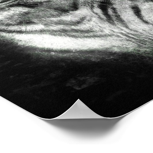 Verhelderende Tiger Head Deep Sketch Line Art Poster (Hoek)