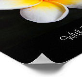 Verheldering met middelen voor bachelorenbloem poster (Hoek)