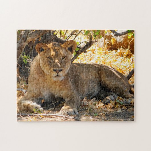 Verheven Leeuwen van Afrika. Legpuzzel (Horizontaal)