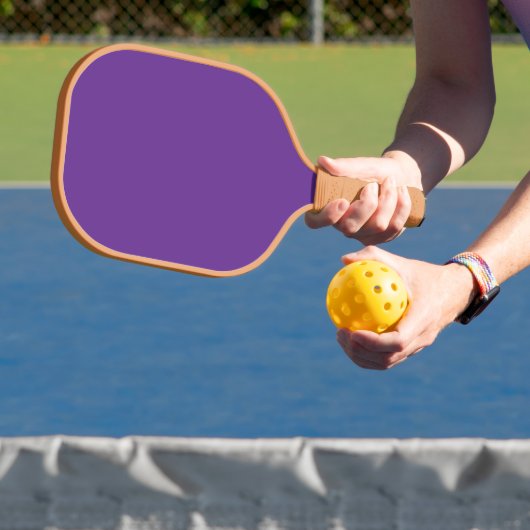 Verhoog uw websiteontwerp met een verbluffend Paar Pickleball Paddle (Insitu)