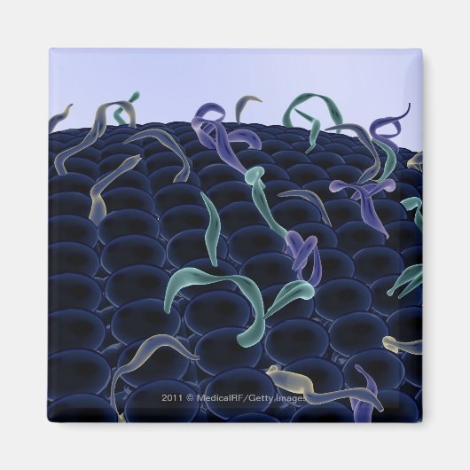 Verhoogd celmembraan magneet (Voorkant)