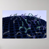 Verhoogd celmembraan poster (Voorkant)