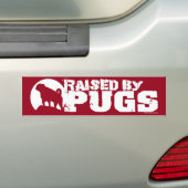 VERHOOGD DOOR DE POGS Red Bumpersticker (Op auto)