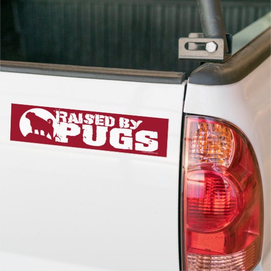 VERHOOGD DOOR DE POGS Red Bumpersticker (Op Truck)
