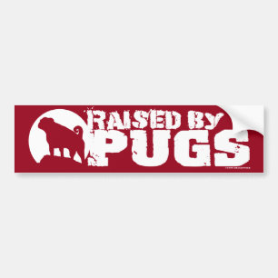 VERHOOGD DOOR DE POGS Red Bumpersticker