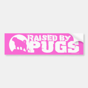 VERHOOGD DOOR DE ZUIVERE Roze Bumpersticker