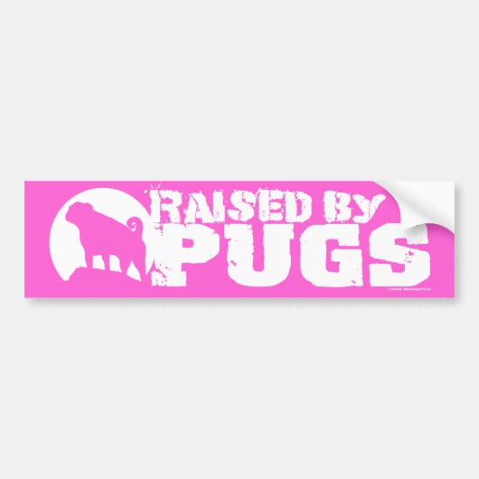 VERHOOGD DOOR DE ZUIVERE Roze Bumpersticker (Voorkant)