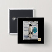 Verhoogd door pinguïns vierkante button 5,1 cm (Voorkant /achterkant)