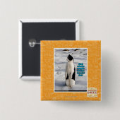 Verhoogd door pinguïns vierkante button 5,1 cm (Voorkant /achterkant)