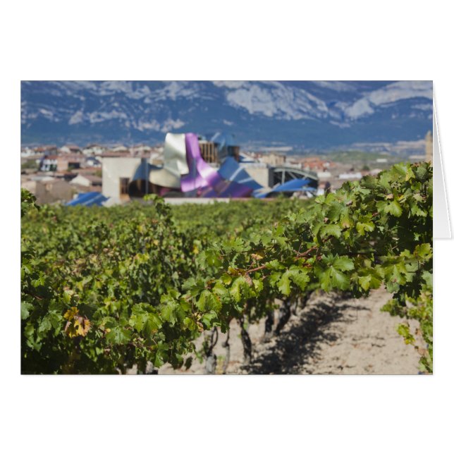 Verhoogd uitzicht en Hotel Marques de Riscal (Voorkant Horizontaal)