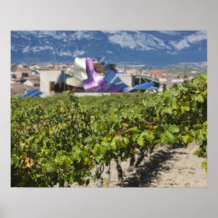 Verhoogd uitzicht en Hotel Marques de Riscal Poster