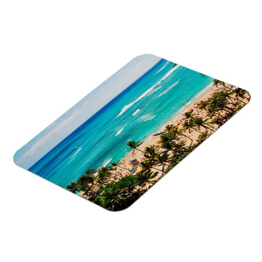 verhoogd Uitzicht van de waikikikikikikikikikikiki Magneet (Linkerzijde)