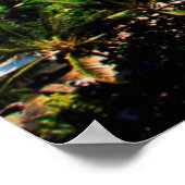 verhoogd Uitzicht van de waikikikikikikikikikikiki Poster (Hoek)