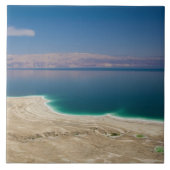 Verhoogd uitzicht van het dode Zee Tegeltje (Voorkant)