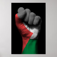Verhoogde 'Clenched Fist' met Palestijnse vlag