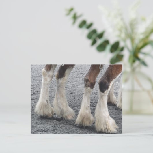 Verhoogde Feet Briefkaart (Staand voorkant)