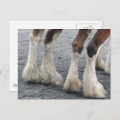 Verhoogde Feet Briefkaart (Voorkant / Achterkant)