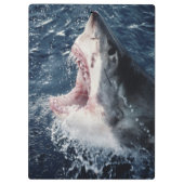 Verhoogde haaienmond open klembord (Achterkant)