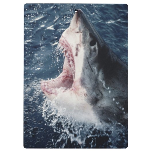 Verhoogde haaienmond open klembord (Achterkant)