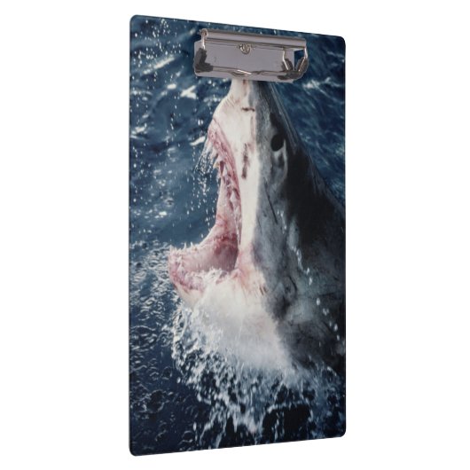 Verhoogde haaienmond open klembord (Rechts)