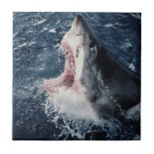 Verhoogde haaienmond open tegeltje (Voorkant)