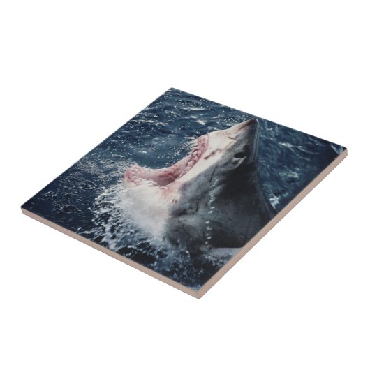 Verhoogde haaienmond open tegeltje (Zijkant)