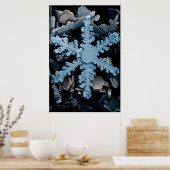 Verhoogde hexagonale Dendrietsnowflake Poster (Keuken)