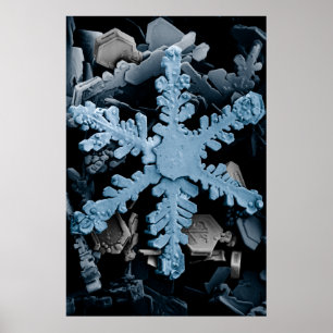 Verhoogde hexagonale Dendrietsnowflake Poster
