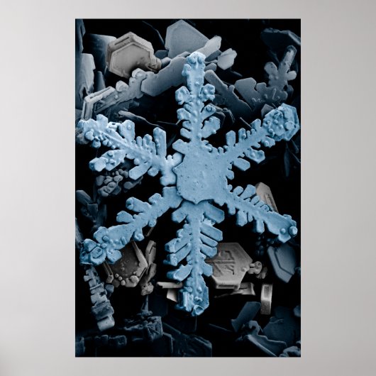 Verhoogde hexagonale Dendrietsnowflake Poster (Voorkant)