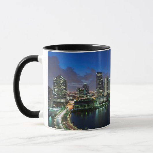 Verhoogde stadshemelijn vanaf Brickell Key Mok (Links)
