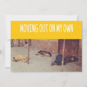 Verhuisbericht (Man en honden op straat) Aankondiging (Voorkant)