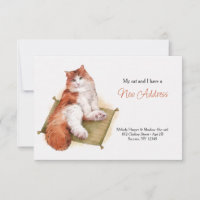 Verhuisbericht met poes