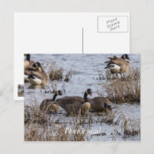 Verhuizen Briefkaart (Voorkant / Achterkant)
