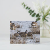 Verhuizen Briefkaart (Staand voorkant)