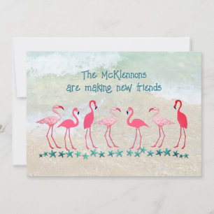 Verhuizen naar de Tropen Flamingo Vrienden Nieuw A Kaart