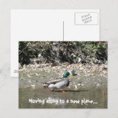 Verhuizen naar een nieuwe plek... aankondigingskaart (Voorkant / Achterkant)