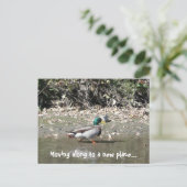 Verhuizen naar een nieuwe plek... aankondigingskaart (Staand voorkant)