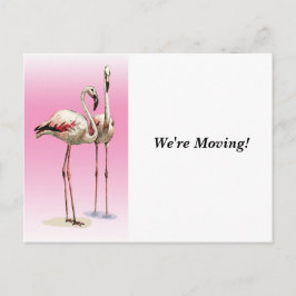 Verhuizen - Verhuizen - Briefkaart