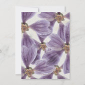 Verjaardag 16e Bruidsbloem Cottage Paarse Iris Kaart (Achterkant)