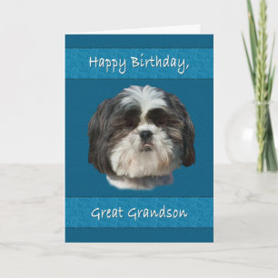 Verjaardag, achterkleinzoon, Shih Tzu Dog Kaart