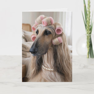 Verjaardag Afghaanse windhond met roze spons kruls Kaart